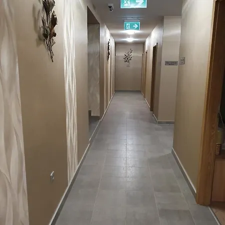Hotell Platina Panzio*** *