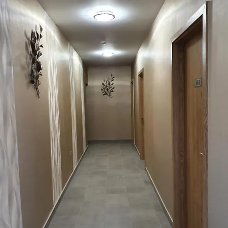 Hotel Platina Panzio***