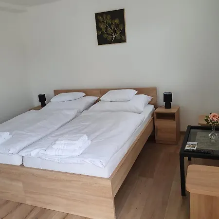 Hotell Platina Panzio***