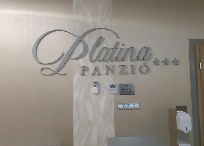 Szálloda Platina Panzió***