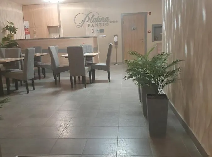 Hotel Platina Panzió***