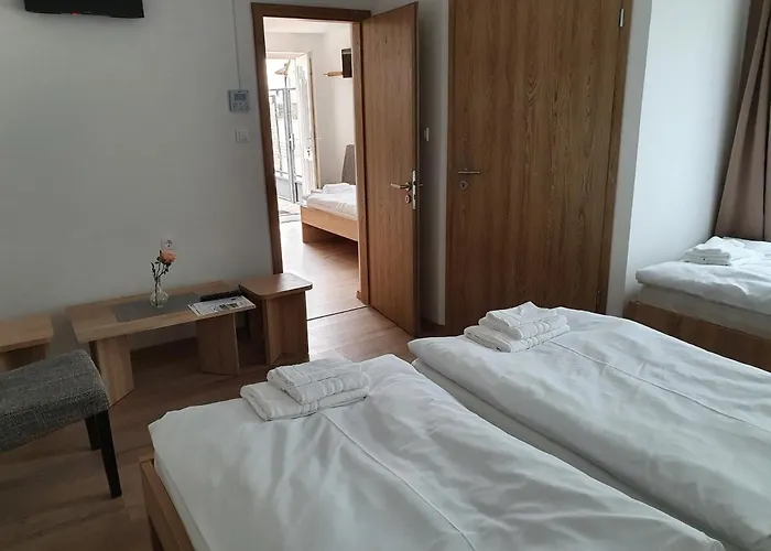Hotel Platina Panzió*** Újhartyán