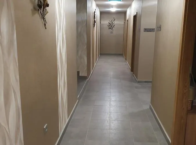 Szálloda Platina Panzió*** *