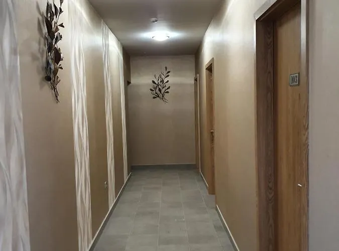 Hotel Platina Panzió***