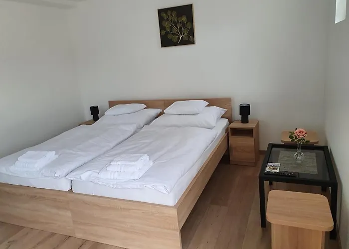 Szálloda Platina Panzió***
